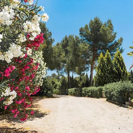 Villa Luxury Private Holiday With Volley Ball Court, Ibiza 1007