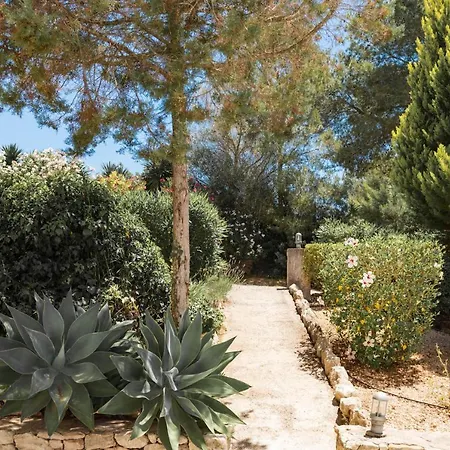Villa Luxury Private Holiday With Volley Ball Court, Ibiza 1007